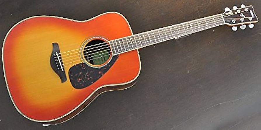 Amazon.co.jp: YAMAHA ヤマハ アコースティックギター FG830